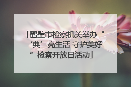 鹤壁市检察机关举办“‘典’亮生活 守护美好”检察开放日活动