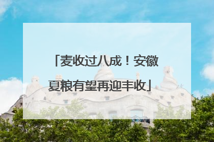 麦收过八成！安徽夏粮有望再迎丰收