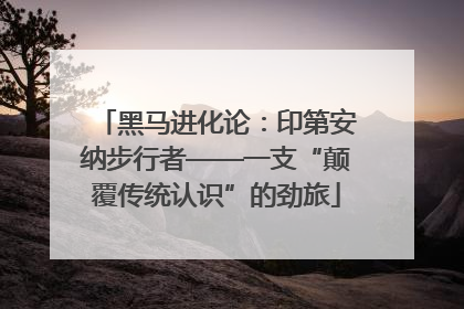 黑马进化论：印第安纳步行者——一支“颠覆传统认识”的劲旅