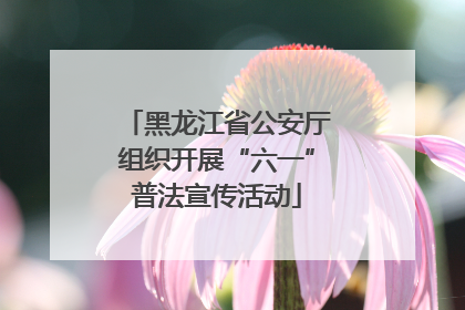 黑龙江省公安厅组织开展“六一”普法宣传活动