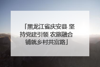 黑龙江省庆安县 坚持党建引领 农旅融合铺就乡村共富路