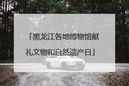 黑龙江各地博物馆献礼文物和自然遗产日