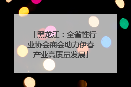 黑龙江：全省性行业协会商会助力伊春产业高质量发展