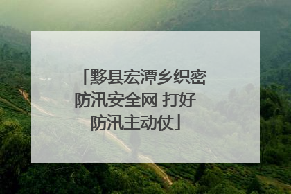 黟县宏潭乡织密防汛安全网 打好防汛主动仗