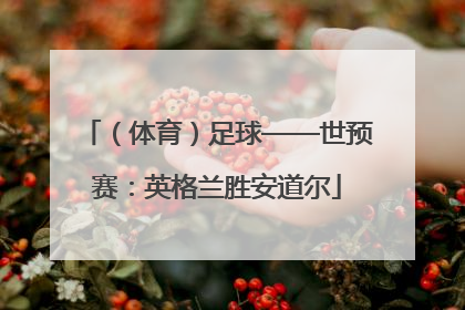 （体育）足球——世预赛：英格兰胜安道尔