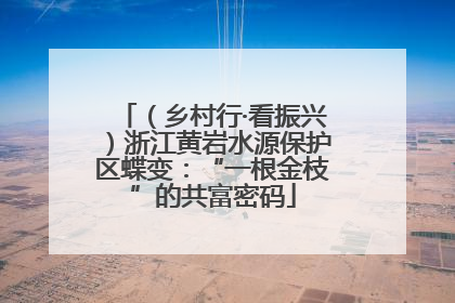 （乡村行·看振兴）浙江黄岩水源保护区蝶变：“一根金枝”的共富密码