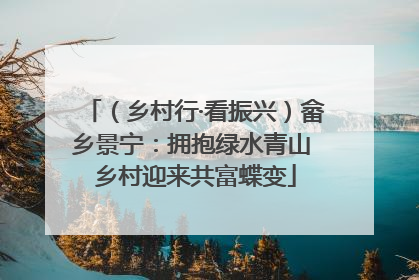 （乡村行·看振兴）畲乡景宁：拥抱绿水青山 乡村迎来共富蝶变