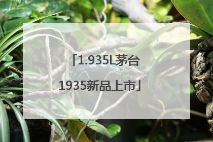 1.935L茅台1935新品上市