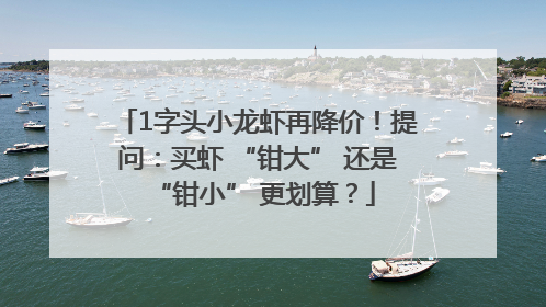 1字头小龙虾再降价！提问：买虾 “钳大” 还是 “钳小” 更划算？