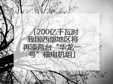 200亿千瓦时 我国西部地区将再添两台“华龙一号”核电机组