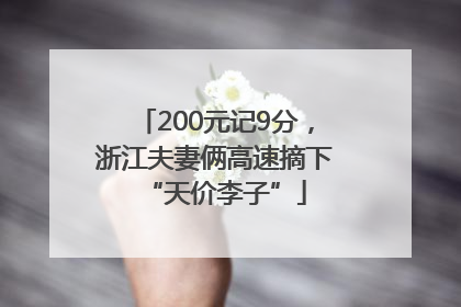 200元记9分，浙江夫妻俩高速摘下“天价李子”