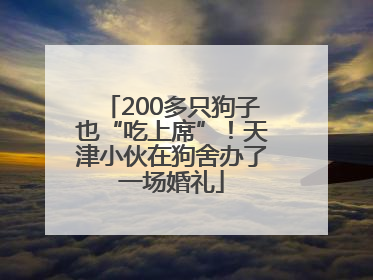 200多只狗子也“吃上席”！天津小伙在狗舍办了一场婚礼