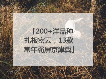 200+洋品种扎根密云，13款常年霸屏京津冀