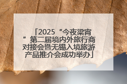 2025“今夜梁宵”第二届境内外旅行商对接会暨无锡入境旅游产品推介会成功举办