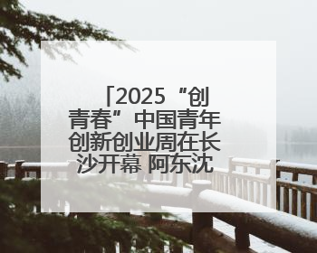 2025“创青春”中国青年创新创业周在长沙开幕 阿东沈晓明致辞