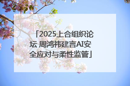 2025上合组织论坛 周鸿祎建言AI安全应对与柔性监管