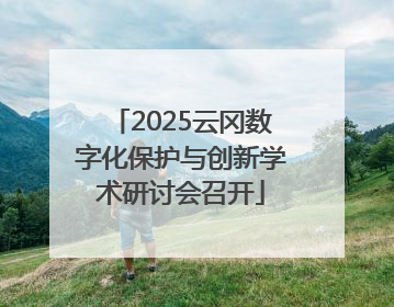 2025云冈数字化保护与创新学术研讨会召开
