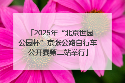2025年“北京世园公园杯”京张公路自行车公开赛第二站举行