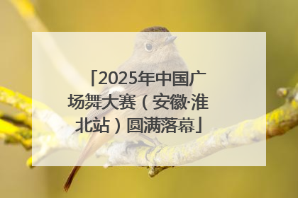 2025年中国广场舞大赛（安徽·淮北站）圆满落幕