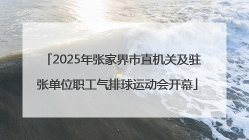 2025年张家界市直机关及驻张单位职工气排球运动会开幕