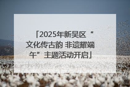 2025年新吴区“文化传古韵 非遗耀端午”主题活动开启