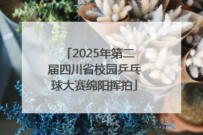 2025年第二届四川省校园乒乓球大赛绵阳挥拍