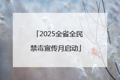 2025全省全民禁毒宣传月启动
