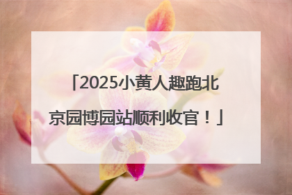 2025小黄人趣跑北京园博园站顺利收官！