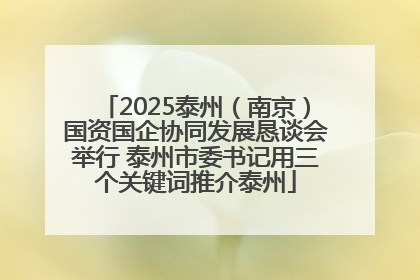 2025泰州（南京）国资国企协同发展恳谈会举行 泰州市委书记用三个关键词推介泰州