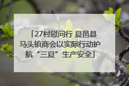 27村慰问行 夏邑县马头镇商会以实际行动护航“三夏”生产安全