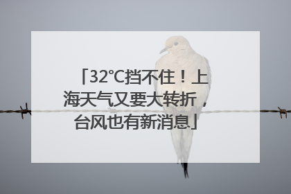 32℃挡不住！上海天气又要大转折，台风也有新消息