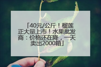 40元/公斤！榴莲正大量上市！水果批发商：价格还在降，一天卖出2000箱