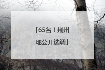 65名！荆州一地公开选调