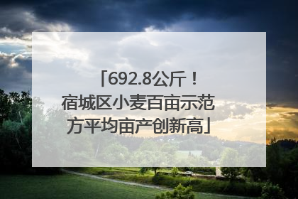692.8公斤！宿城区小麦百亩示范方平均亩产创新高