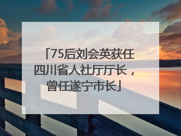 75后刘会英获任四川省人社厅厅长，曾任遂宁市长