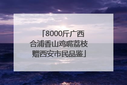 8000斤广西合浦香山鸡嘴荔枝赠西安市民品鉴