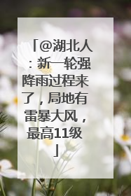 @湖北人：新一轮强降雨过程来了，局地有雷暴大风，最高11级