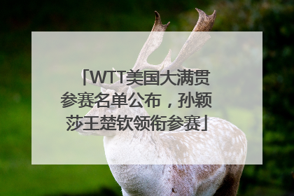 WTT美国大满贯参赛名单公布，孙颖莎王楚钦领衔参赛